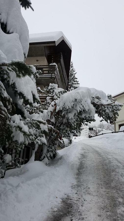 The Closest Location To The City Center And Chairlift Oulx Εξωτερικό φωτογραφία